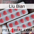 Liu Bian 19